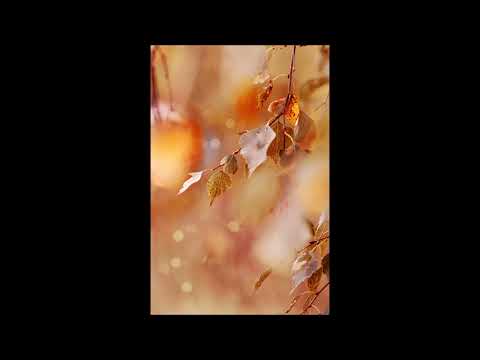July - Autumn Wind (Beat Ver) thumbnail
