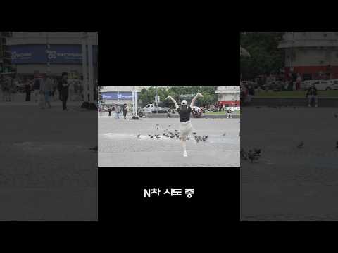 YERIN😺 VS Argentina pigeon🐦 #예린 #YERIN thumbnail