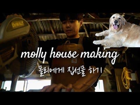 대형견 집 직접 만들기. 제주도에서 몰리집 직접 제작하기. thumbnail